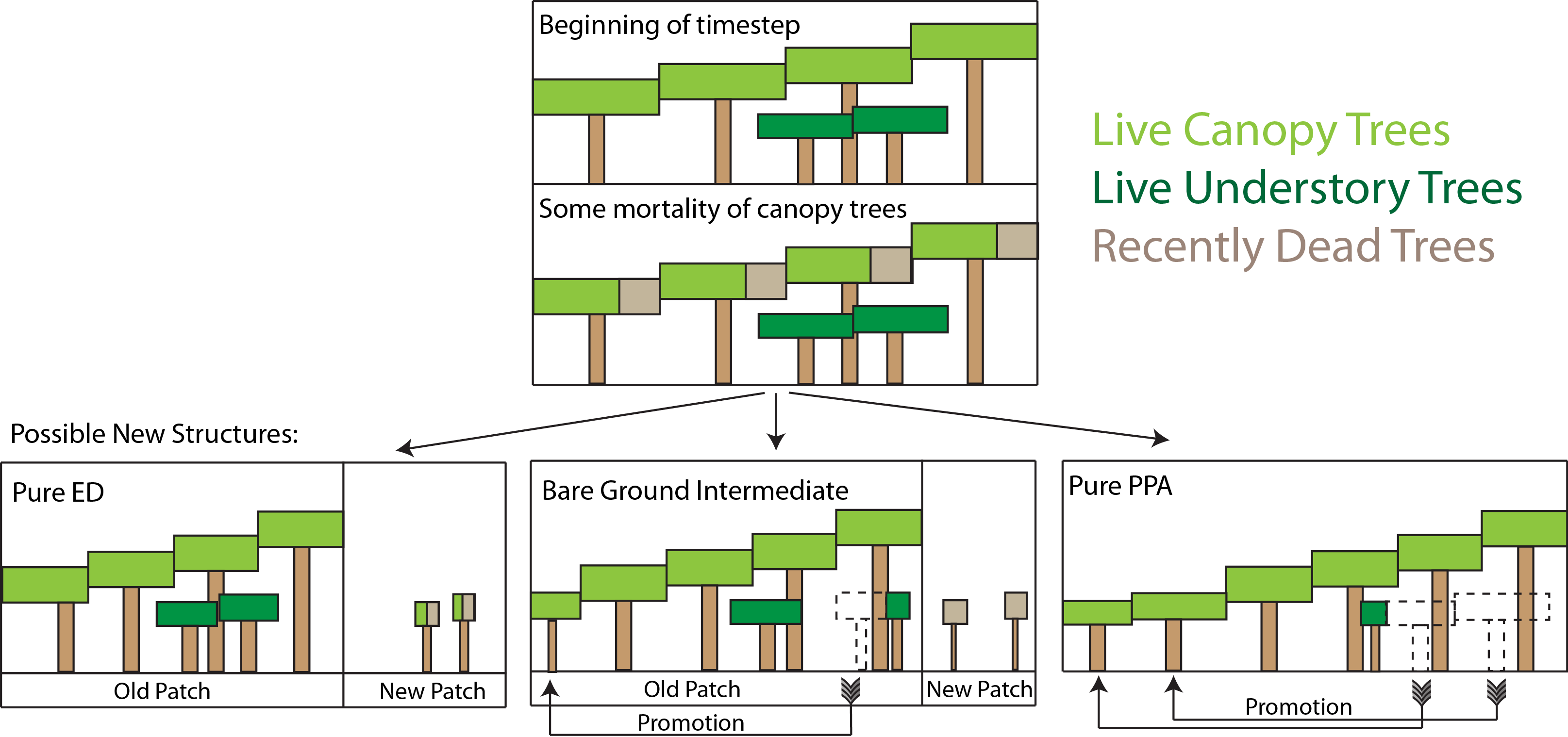 _images/Disturbance_schematic.png