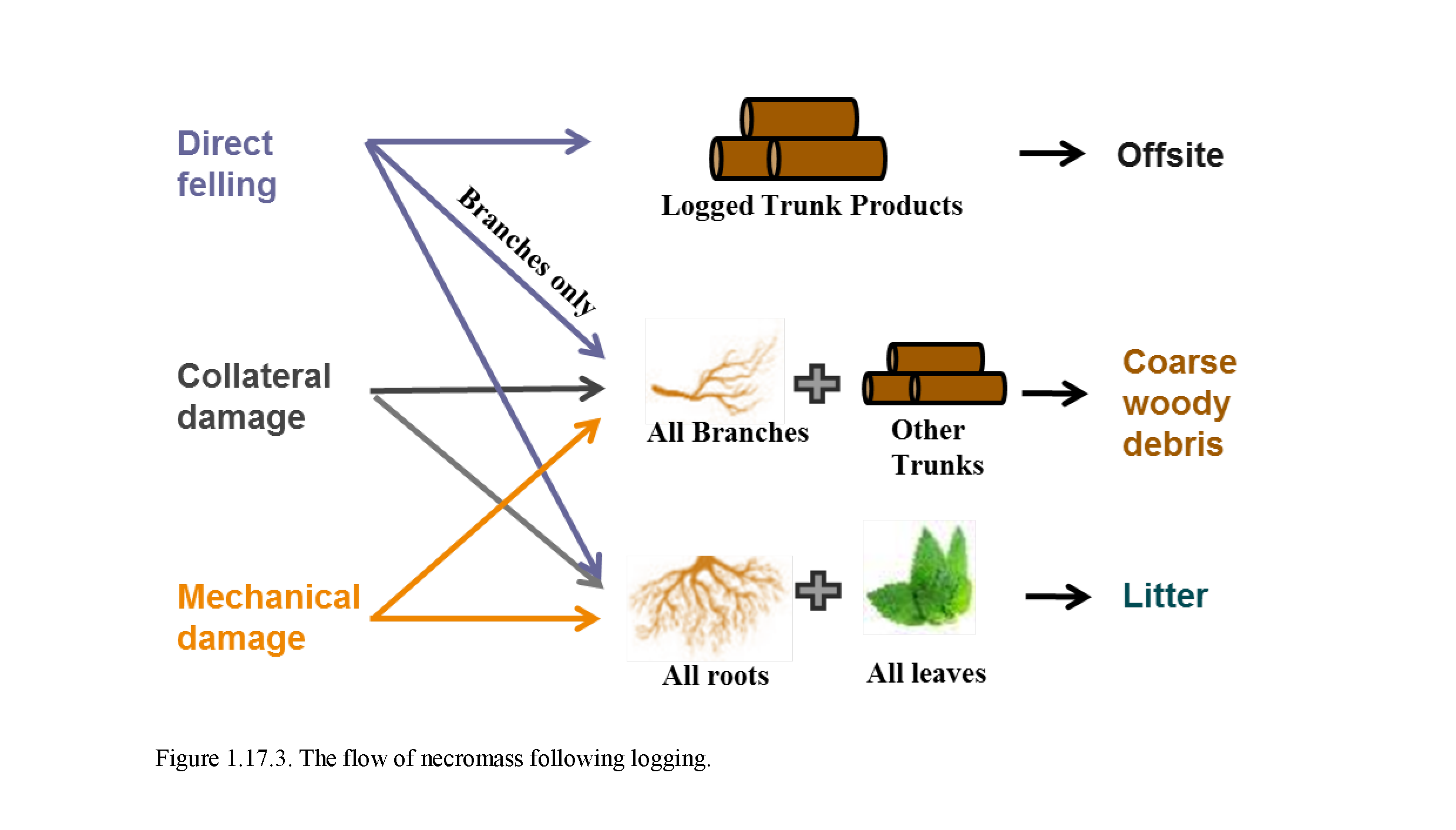_images/Logging_figure3.png