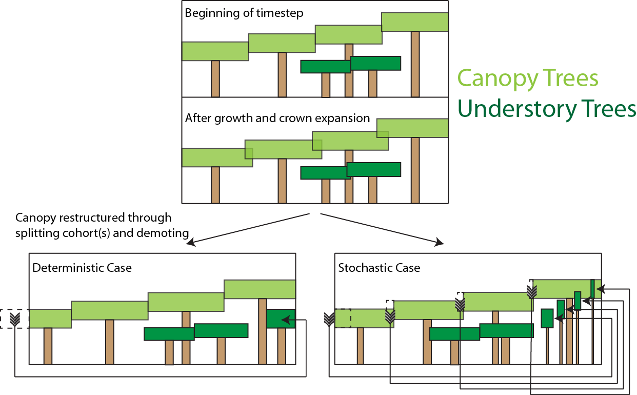 _images/Sorting_Schematic.png