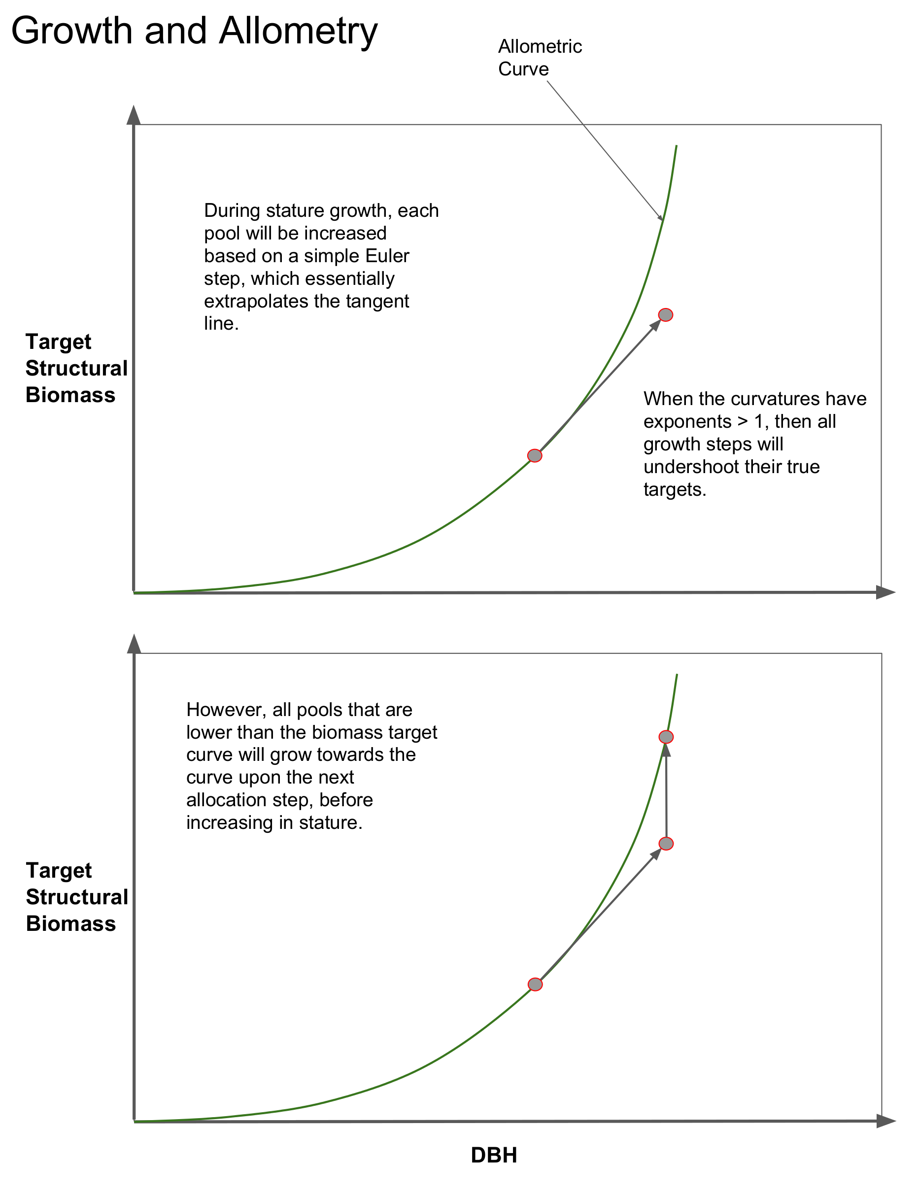_images/growth_allometry_p1.png