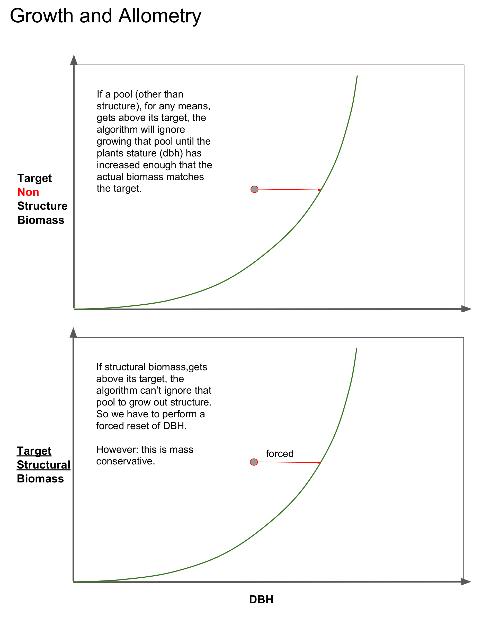 _images/growth_allometry_p2.png